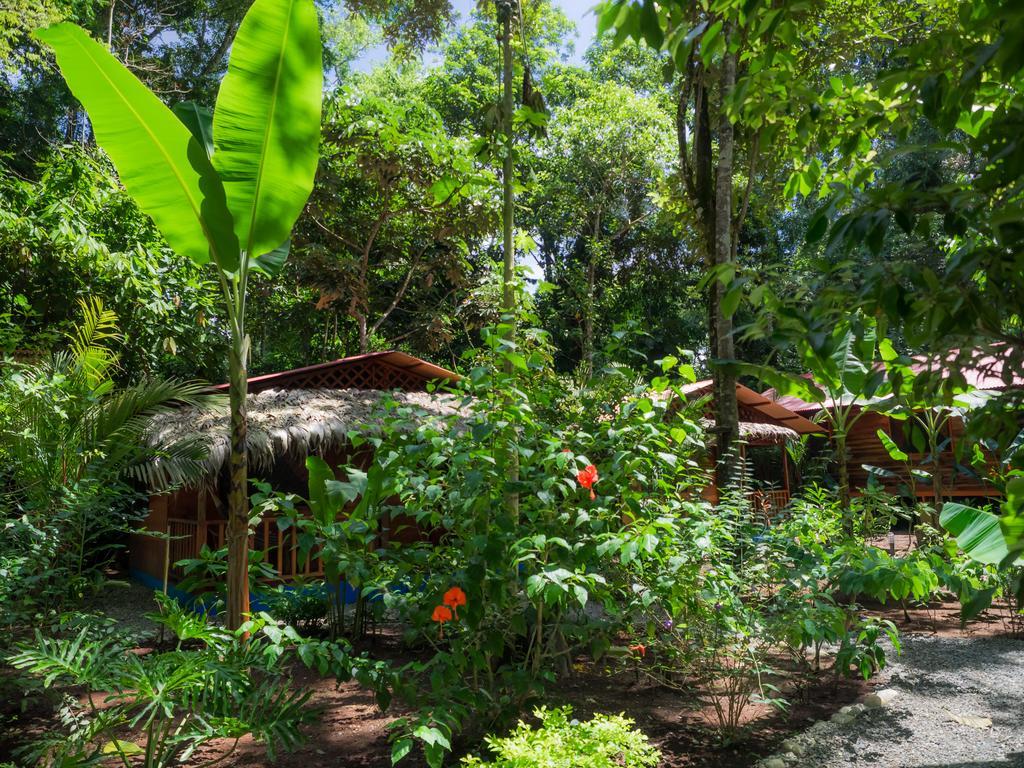 Casitas Las Flores Puerto Viejo de Talamanca Exterior foto