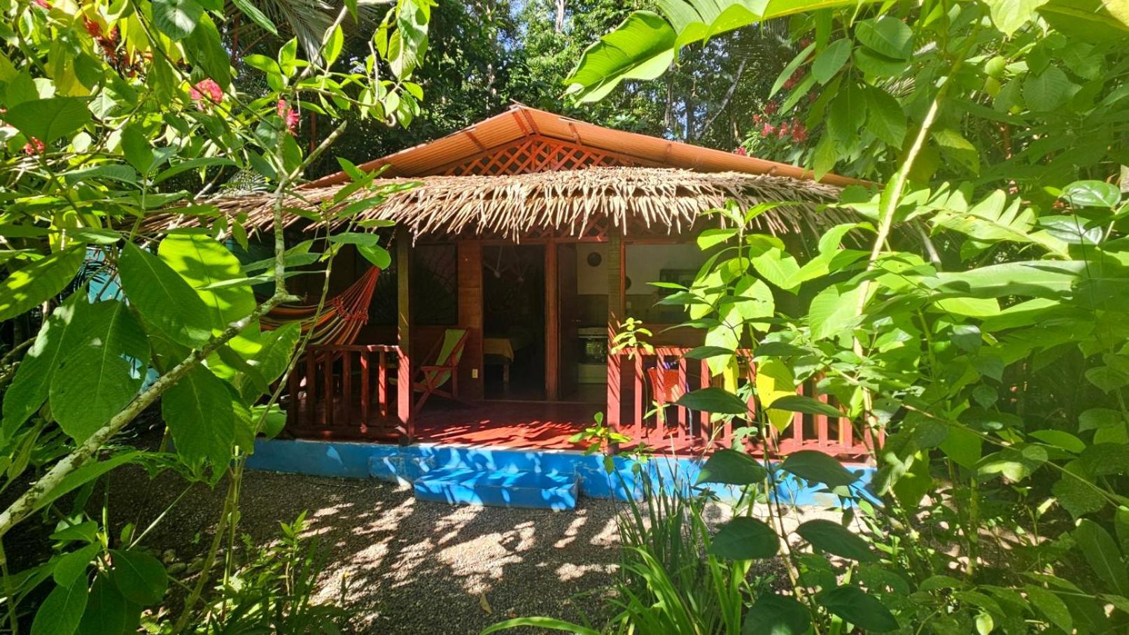 Casitas Las Flores Puerto Viejo de Talamanca Exterior foto