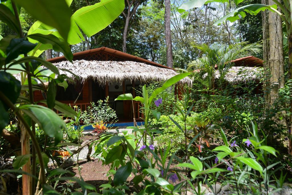 Casitas Las Flores Puerto Viejo de Talamanca Exterior foto