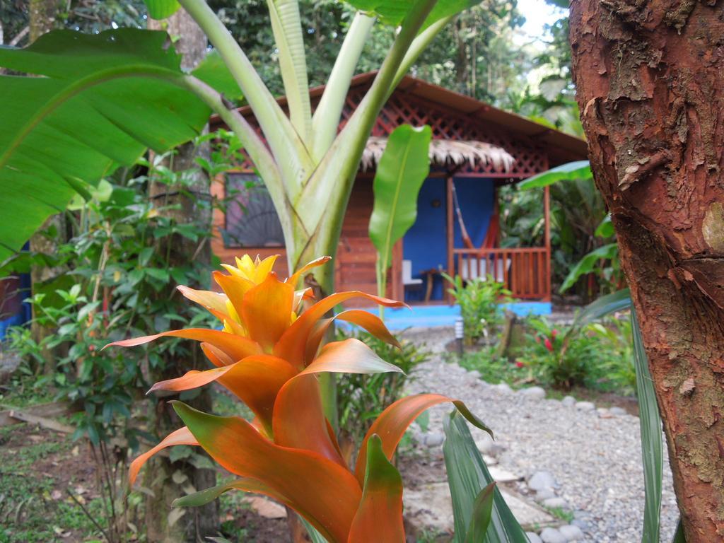 Casitas Las Flores Puerto Viejo de Talamanca Exterior foto