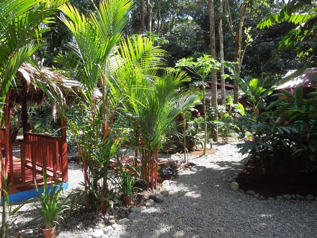 Casitas Las Flores Puerto Viejo de Talamanca Exterior foto