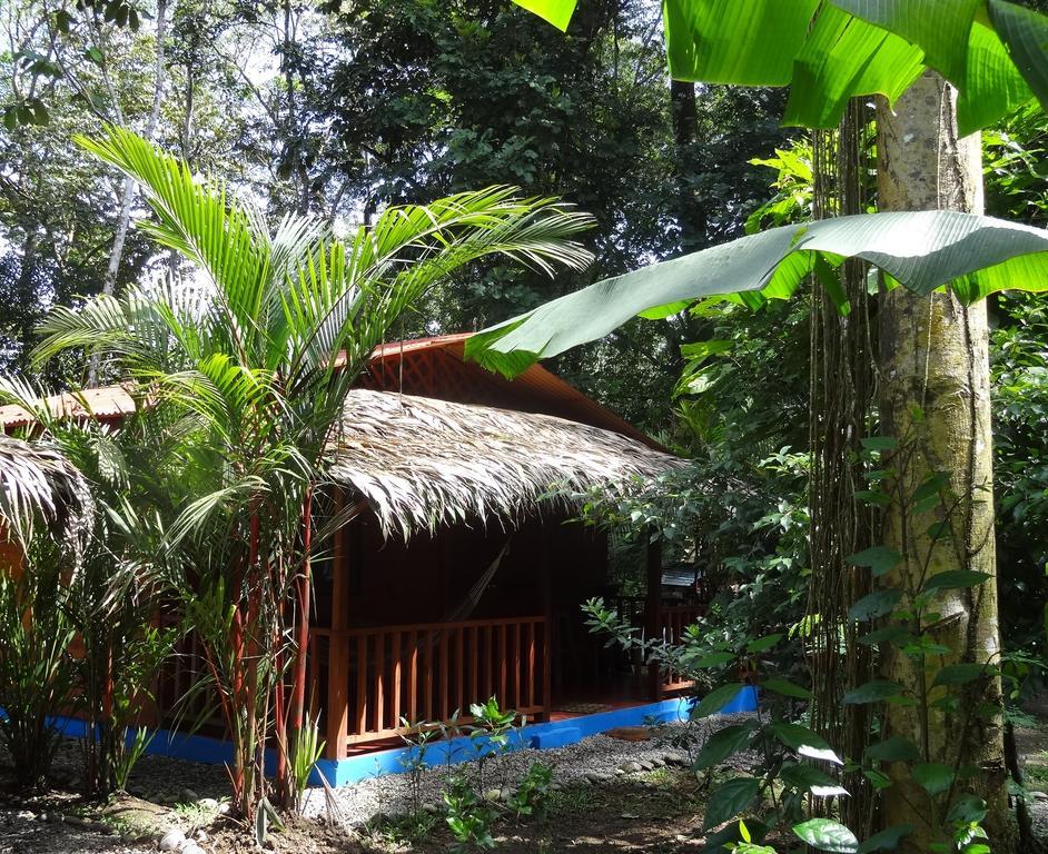 Casitas Las Flores Puerto Viejo de Talamanca Exterior foto