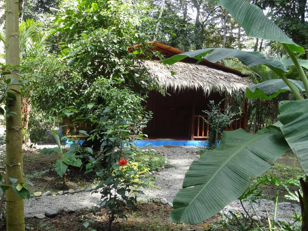 Casitas Las Flores Puerto Viejo de Talamanca Exterior foto